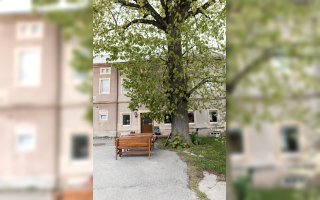 Stolpen OT Lauterbach Gottlöbergut partyraum.de 5.jpg Stolpen OT Lauterbach Gottlöbergut partyraum.de 5.jpg